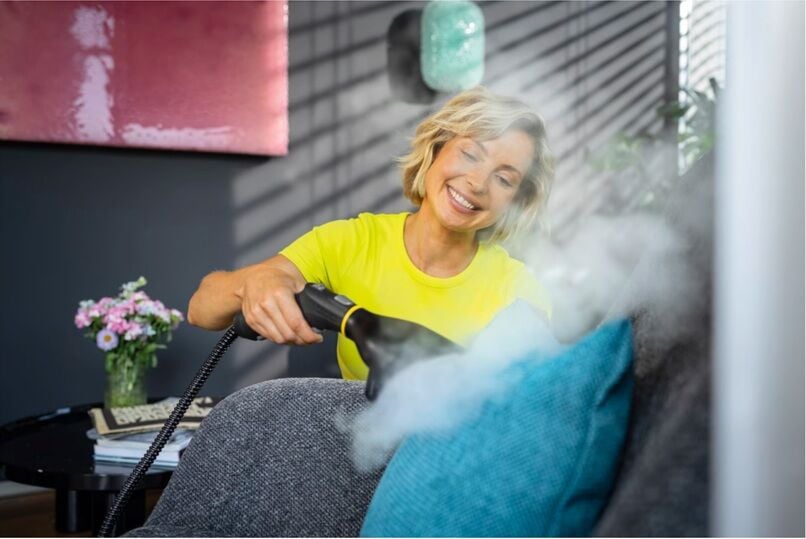 Karcher Garment Steamer Buharlı Düzleştirici Aparatı